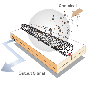 Chemical Sensors