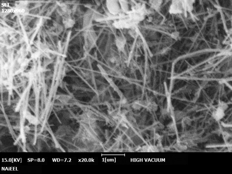 Boron Nitride Nanotubes Multi Walled Powder Nanointegris